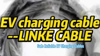 Mọi điều bạn cần biết về cáp sạc xe điện