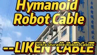 Cáp robot: Linh kiện thiết yếu cho tự động hóa công nghiệp